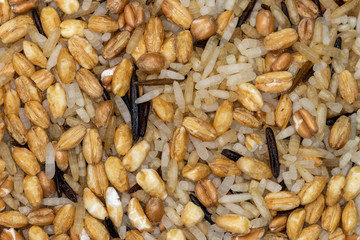 Layer of mixed wild rice and grains
