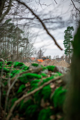 Excavator in the nature with green moss on stone wall in the foreground