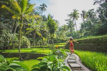 Beautiful girl visiting the Bali rice fields in tegalalang, ubud. Concept about people, wanderlust...