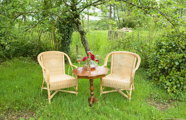  Romantic still life. Two glasses of pink wine, bouquet of red roses on inlaid table, two wicker chairs in spring green garden