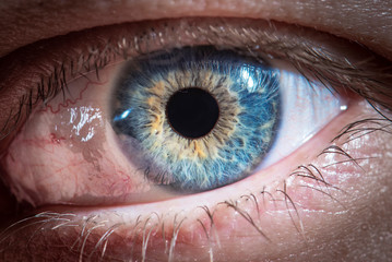 Beautiful close up human eye. Macro photography.	