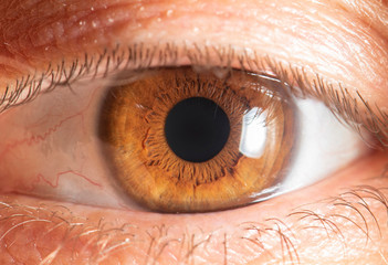 Beautiful close up human eye. Macro photography.	