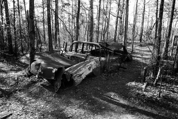 Old car in the woods