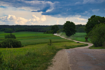 Fototapeta na wymiar Droga polna między polami upraw