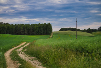 Droga polna między polami upraw