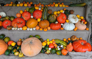 Gourds
