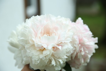 Pink peonies close-up, standing on a wooden table
