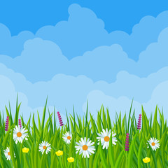 Fototapeta na wymiar Spring meadow flowers flat design vector illustration. Vector background template for banner, landing page, website.