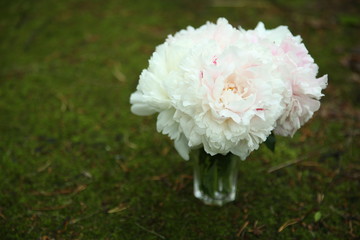 A bouquet of pink peonies stands in a glass vase on the green grass