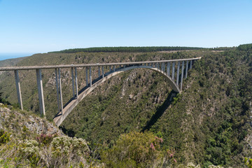 Fototapeta na wymiar Bloukrans Bridge, Eastern Cape, South Africa. Dec 2019. Bloukraans Bridge carrying a toll road 216 metres above the gorge through the garden route in the Eastern Cape.