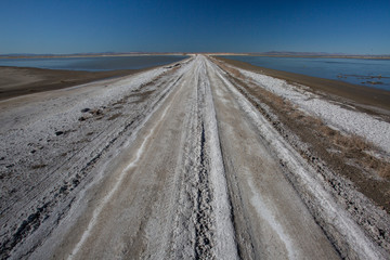 Road through alkali-shrub wetlands at Stillwater NWR