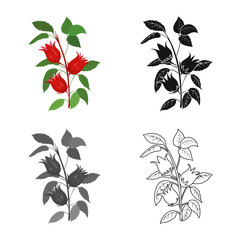 Vector illustration of flower and hibiscus symbol. Web element of flower and tropical stock vector illustration.