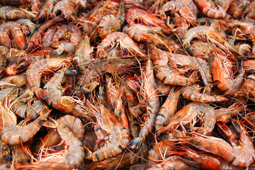 Boiled freshwater shrimp sold at Phnom Penh market