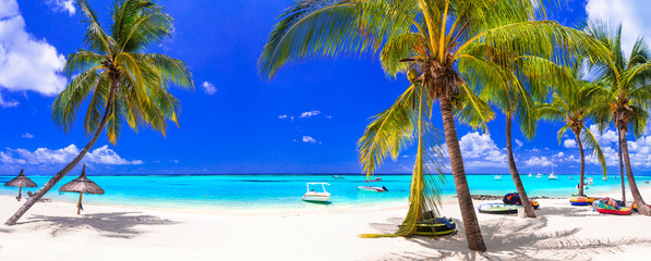 Tropical beach scenery . vacation in paradise island Mauritius, Le Morne - obrazy, fototapety, plakaty