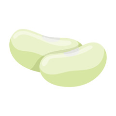 White bean vector icon.Cartoon vector icon isolated on white background white bean.