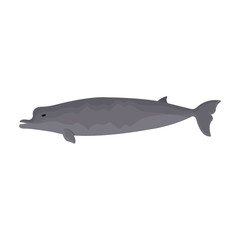 Whale northern swimmer vector icon.Cartoon vector icon isolated on white background whale northern swimmer .