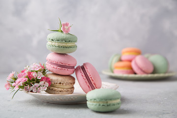 Cake french colorful macarons of pastel color