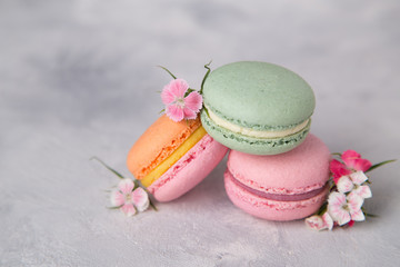 Cake french colorful macarons of pastel color