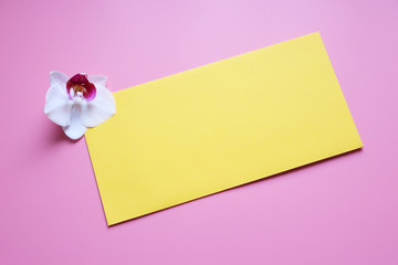yellow envelope and orchid flower on a pink background. Copy space, celebration flat lay.