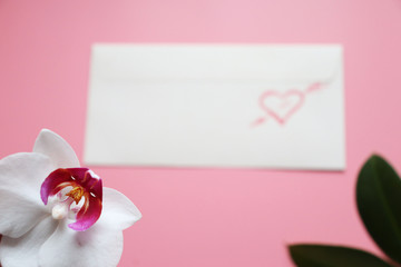  Pink background with orchid flower and envelope with a painted heart. Copy space, celebration flat lay