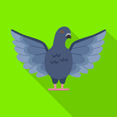 Pigeon vector icon.Flat vector icon isolated on white background pigeon.
