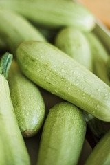 Organic zucchini and tomato. Fresh farm products.