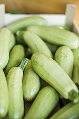Organic zucchini and tomato. Fresh farm products.