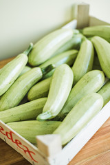 Organic zucchini and tomato in box. Fresh farm products.