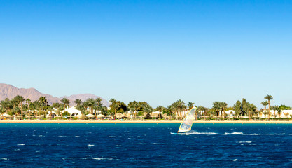 windsurfer rides on the background of the beach with palm trees and rocky mountains in Egypt Dahab South Sinai