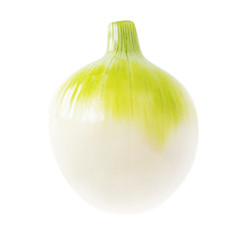 Fresh white onion isolated on white background.  Ripe onion. Food concept. Macro