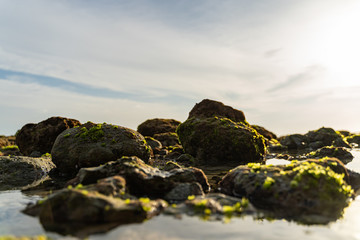 Fototapeta na wymiar Stones with moss in water stock photo