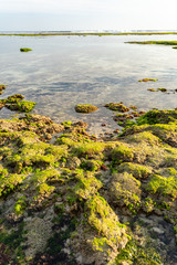 Rocks on coast of ocean stock photo
