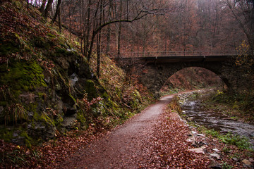 bridge - hiking in the Rabenauer Grund