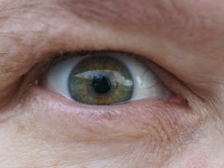 Fototapeta premium Macro photography of human eye. 