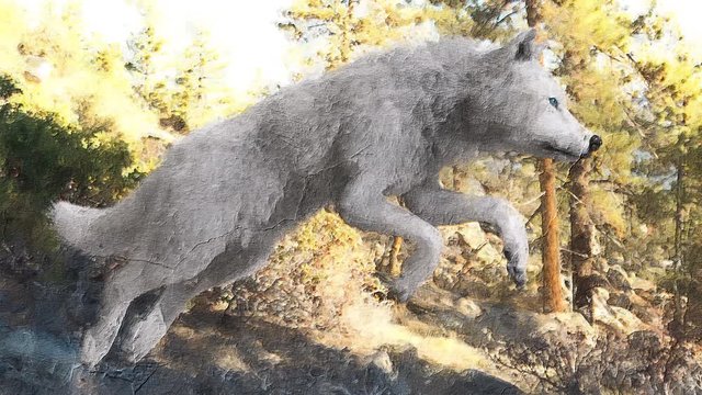Digital artistic sketch animation of a wolf based on a self-created 3D illustration