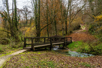 Old wooden bridge in a park at late fall. View in perspective.