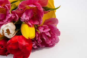 Beautiful bouquet of colorful tulips on a white background close-up