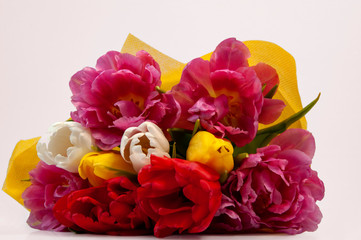 Beautiful bouquet of colorful tulips on a white background close-up