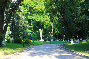 Gray walkway in the morning spring park with vintage lanterns. Mariinsky Park near the Parliament of Ukraine, Verkhovna Rada, city Kyiv