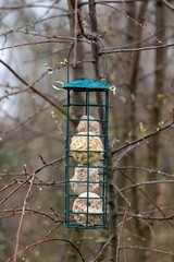 A portrait of a bird feeder in a tree during winter. It is filled with bird food which is mostly fat. The crib is used to feed small birds.