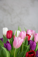 Flower background. Tulip flowers on blurry concrete background. Mother day flowers on concrete background.