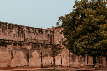 Naklejka premium Agra Fort