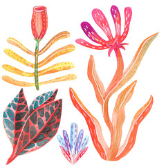 Fototapeta na wymiar Watercolor illustration. Raster. Stylized plant. Set of plants