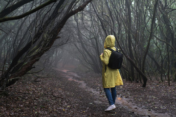 woman traveler in yellow raincoat enjoying hiking in the beautiful scary mystic rainforest trees in Anaga national park on Tenerife islna, Spain.