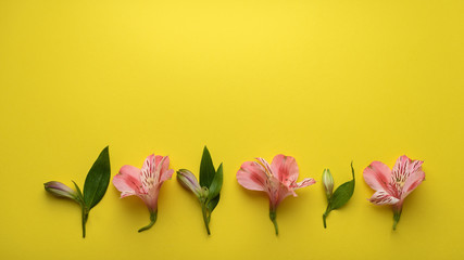 flower arrangement buds alternate with flowers on a yellow background banner 16: 9