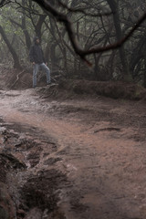 Man traveler in blue raincoat enjoying hiking in the beautiful scary mystic rainforest trees in Anaga national park on Tenerife island, Spain. Rain, fog, silence in old forest