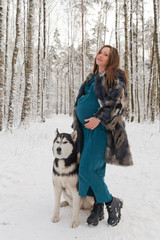 Pregnant woman and dog breed siberian husky ​​in winter forest