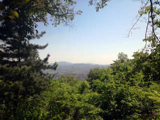 Fototapeta na wymiar Seoul city view from mountain park. South Korea.