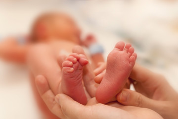 Obraz na płótnie Canvas Infant heels in mother's hands