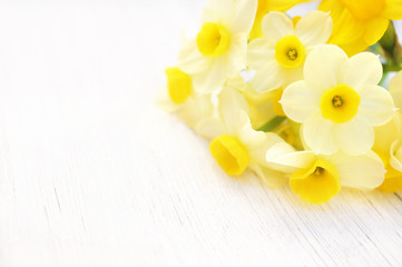 Spring blossoming daffodils posy, springtime blooming narcissus (jonquil) flowers bouquet, selective focus, toned